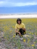 PICTURES/Death Valley - Wildflowers/t_Death Valley - Sharon in Flowers.JPG